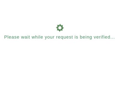 Silkroad Servers
